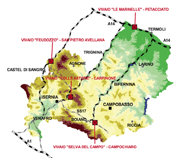 vivai