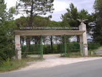 campochiaro 2