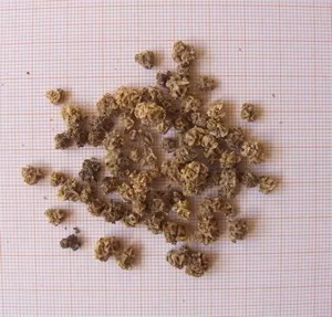 BIETOLA - immagine 2